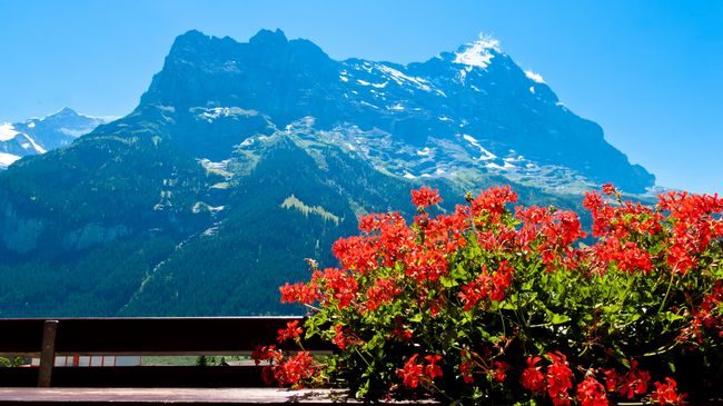 Hotel Kreuz Und Post Grindelwald Hotel Kreuz Und Post Grindelwald